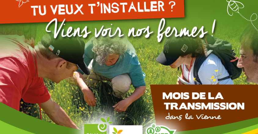 Sans_titre.png