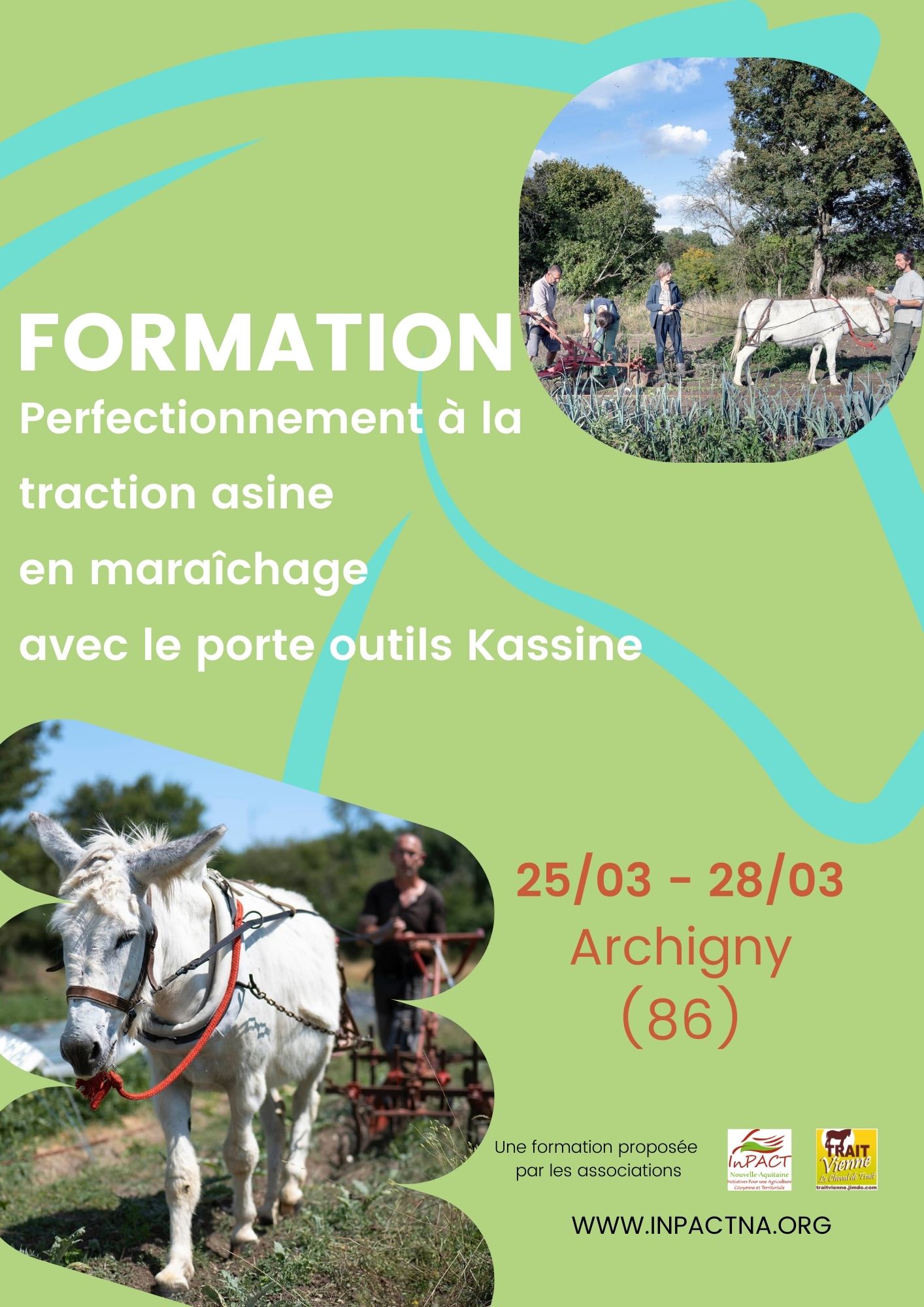 Formation perfectionnement traction asine 24 1