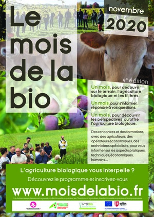 bisAffiche.jpg