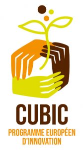 LOGO CUBIC vertical 167x300