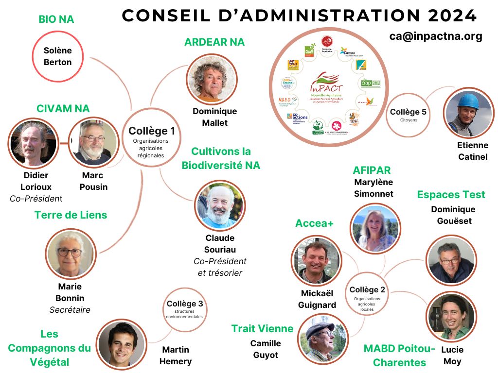 CA 2024 web