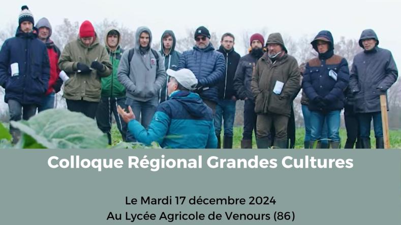 Colloque grande culture