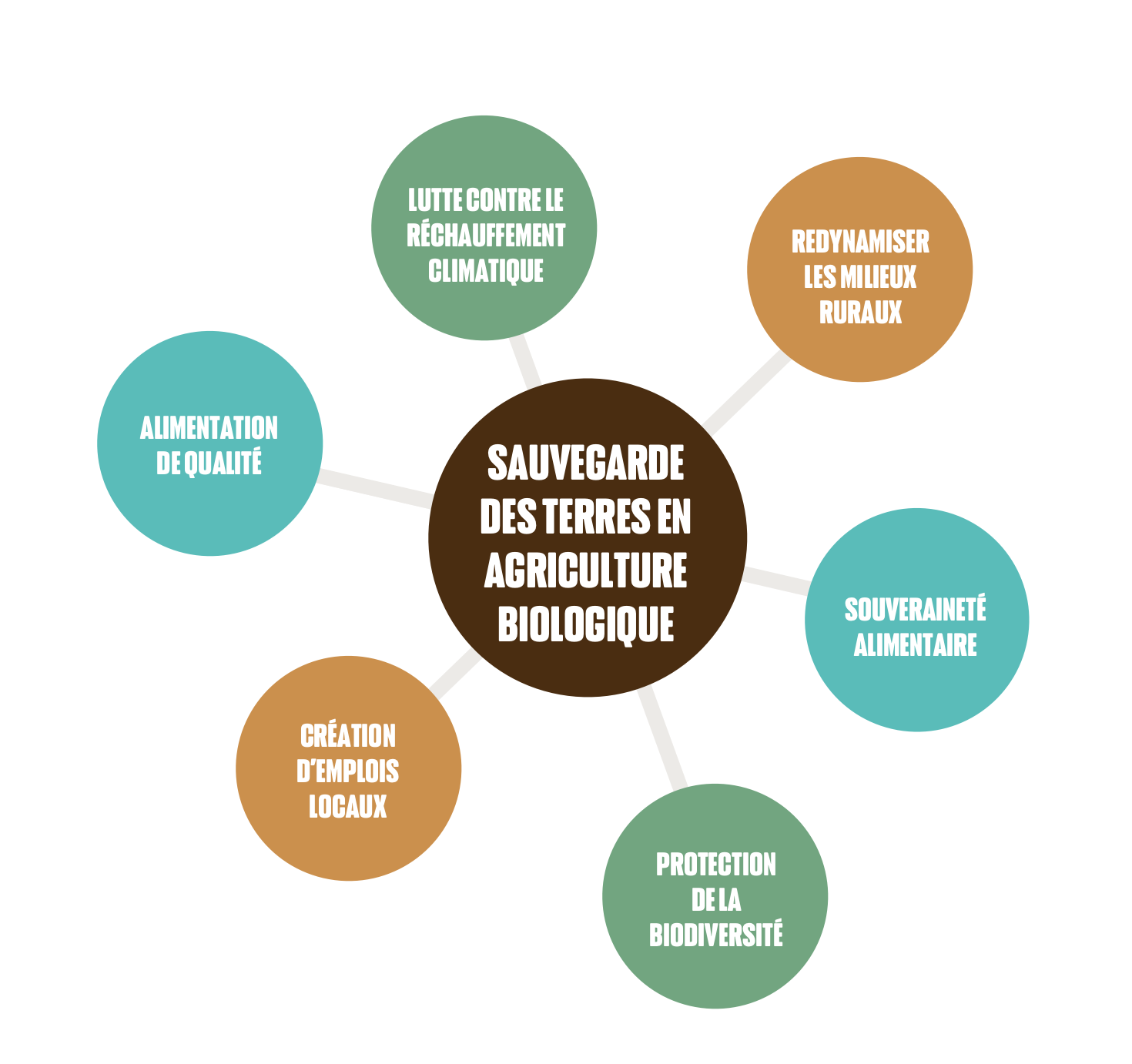 cercle dynamique