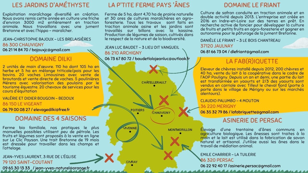 Fermes ouvertes traction animale 2