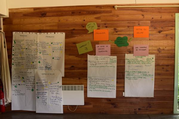 DSC 0462 1370 400