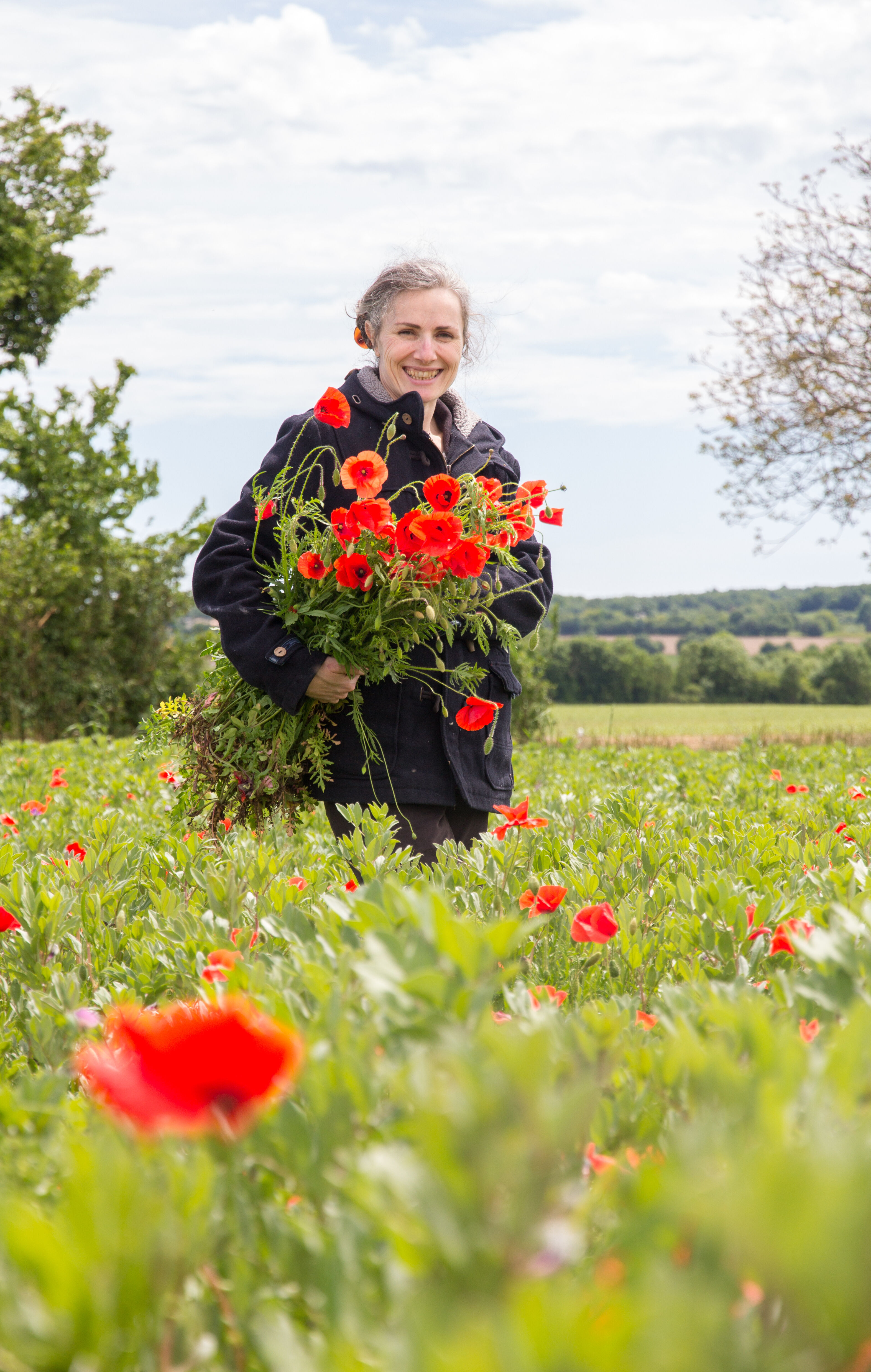 Coquelicots MG 4338 