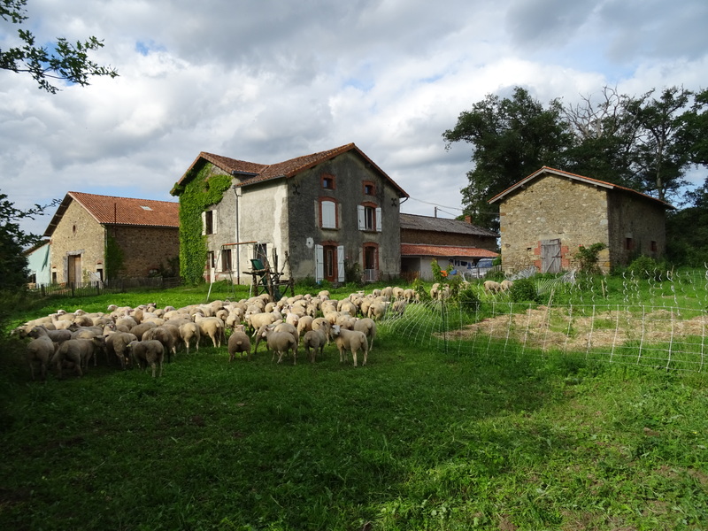 DSC05873 2 800