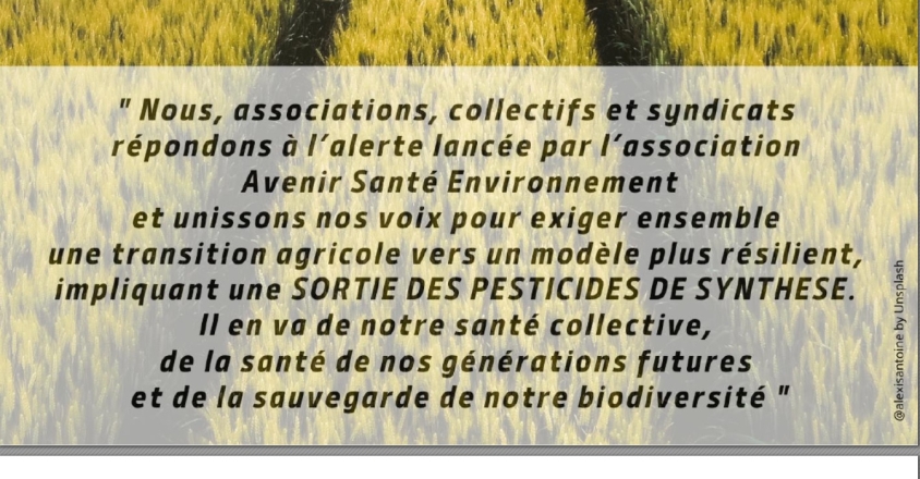 Sans titre