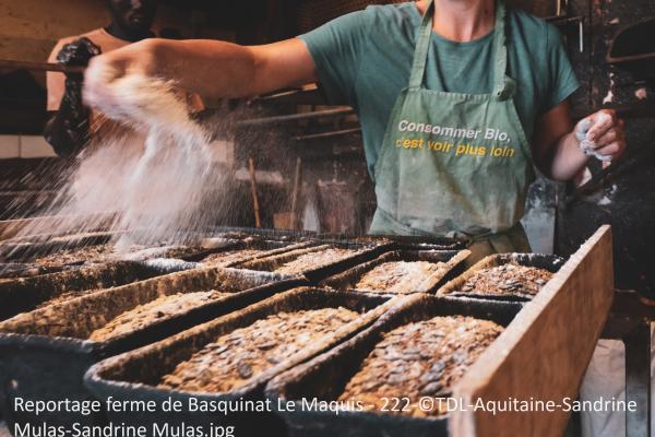 Reportage ferme de Basquinat Le Maquis 222 TDL Aquitaine Sandrine Mulas Sandrine Mulas 1370 400