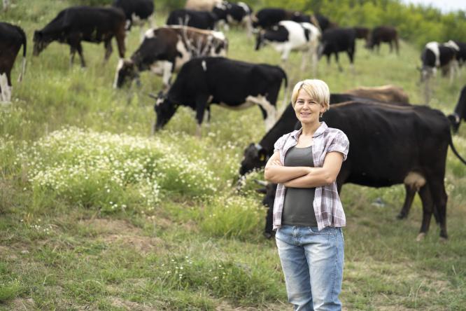 leveuse vaches 1332 444
