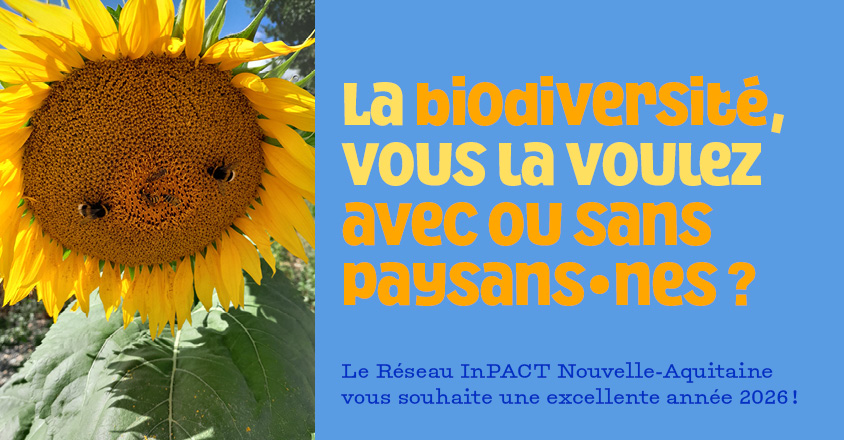251219 bonne année 2026 3
