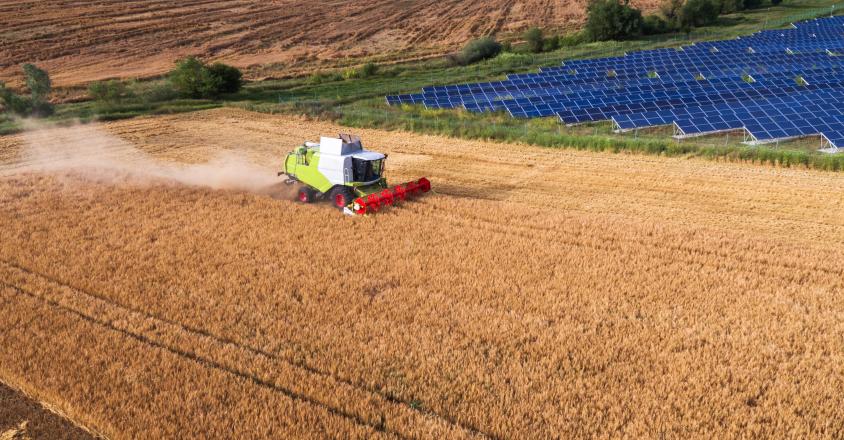 agrivoltaïsme