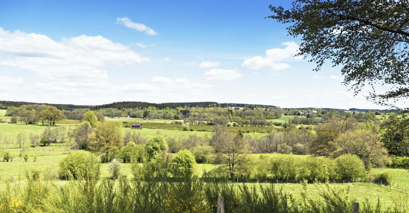 haie agroforesterie