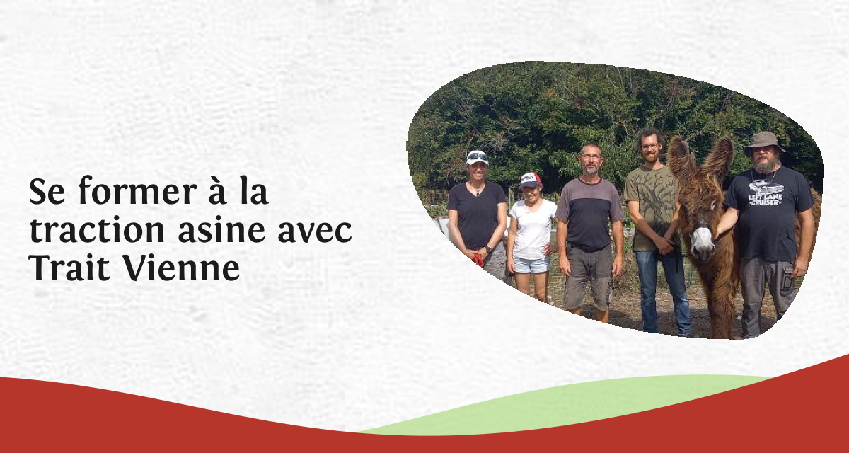 Se former à la traction asine avec Trait Vienne - InPACT Nouvelle-Aquitaine