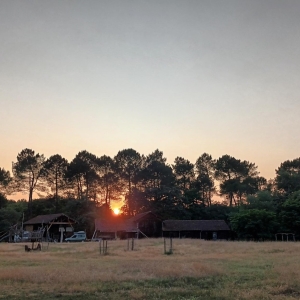 La ferme des filles 